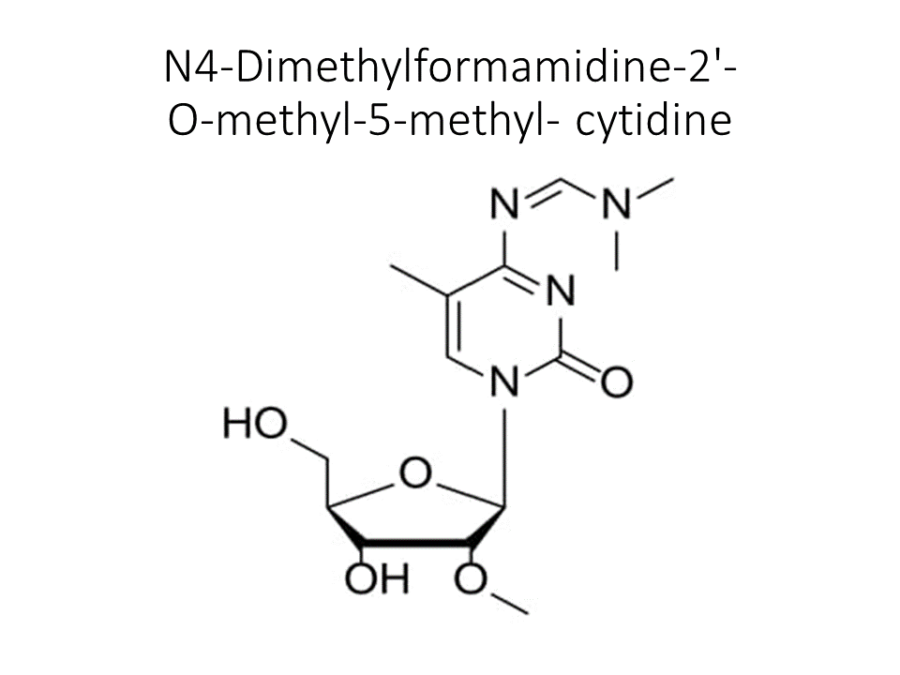 n4-dimethylformamidine-2-o-methyl-5-methyl-cytidine