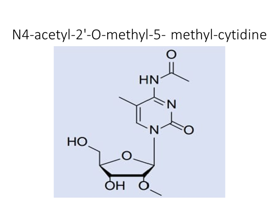 n4-acetyl-2-o-methyl-5-methyl-cytidine