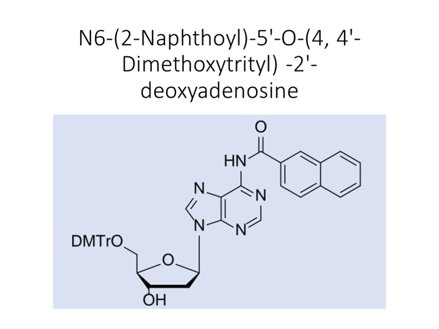 n6-2-naphthoyl-5-o-4-4-dimethoxytrityl-2-deoxyadenosine