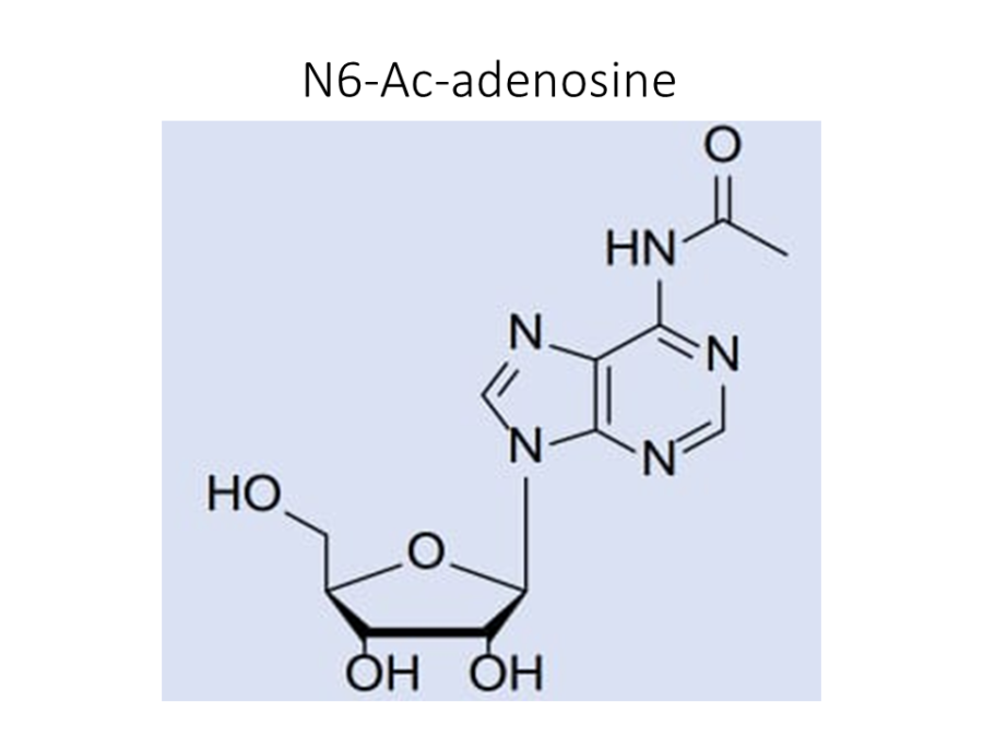 n6-ac-adenosine
