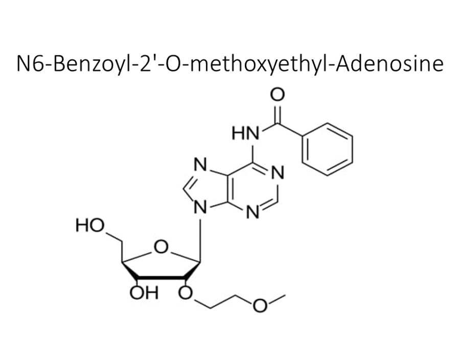 n6-benzoyl-2-o-methoxyethyl-adenosine