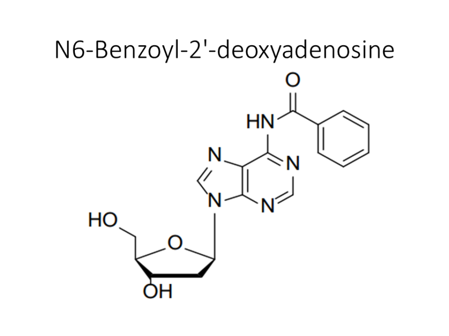 n6-benzoyl-2-deoxyadenosine