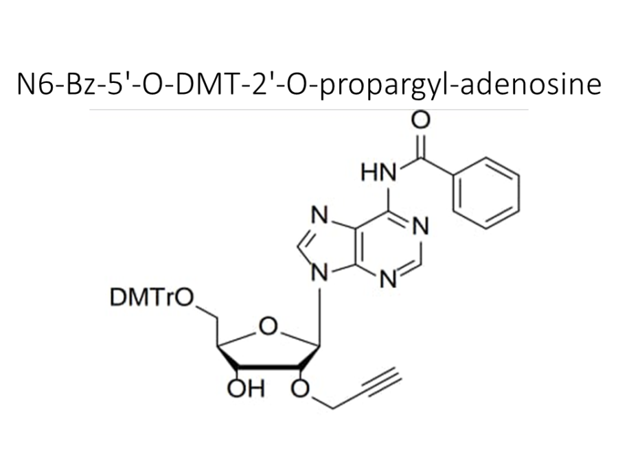 n6-bz-5-o-dmt-2-o-propargyl-adenosine