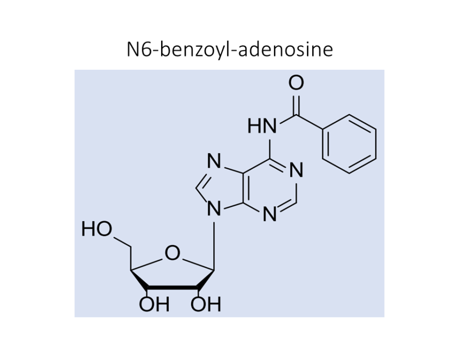 n6-benzoyl-adenosine
