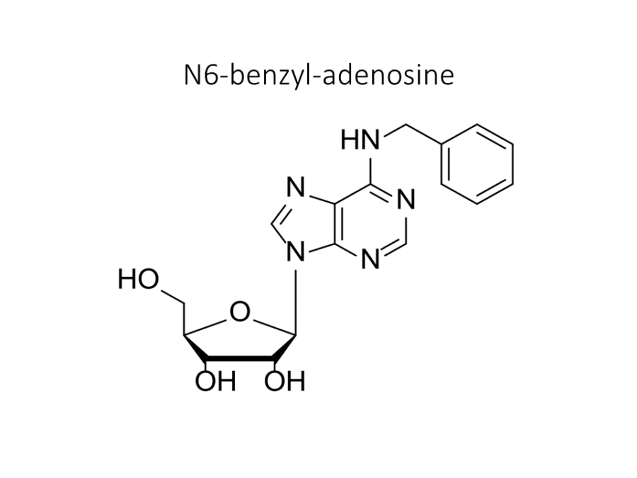 n6-benzyl-adenosine