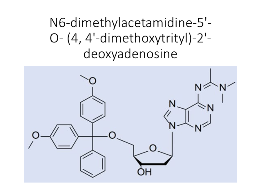 n6-dimethylacetamidine-5-o-4-4-dimethoxytrityl-2-deoxyadenosine