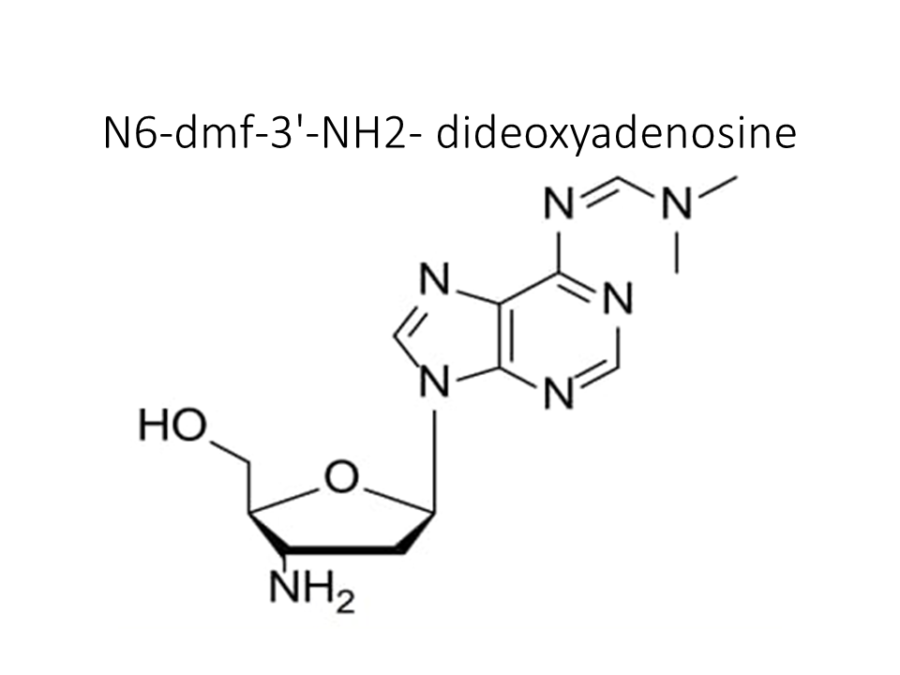 n6-dmf-3-nh2-dideoxyadenosine