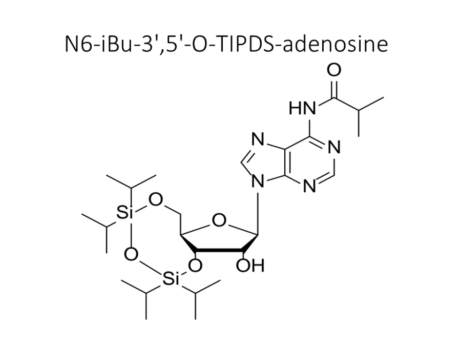 n6-ibu-35-o-tipds-adenosine