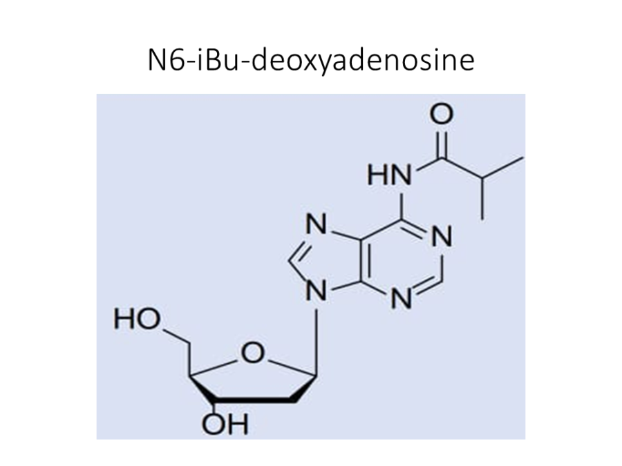 n6-ibu-deoxyadenosine