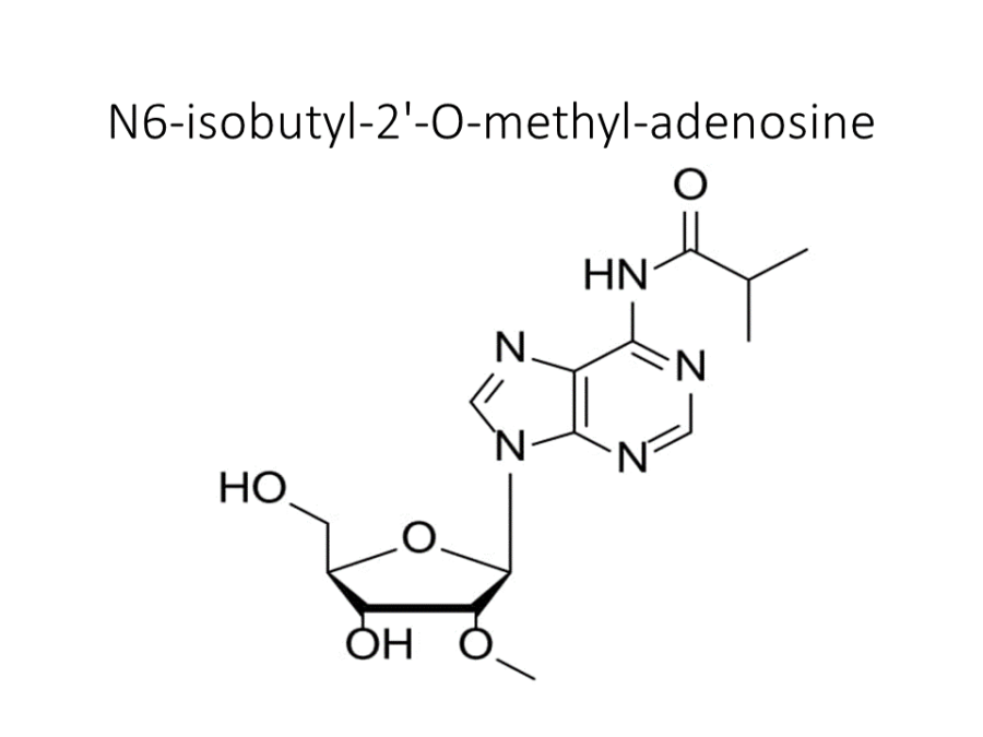 n6-isobutyl-2-o-methyl-adenosine