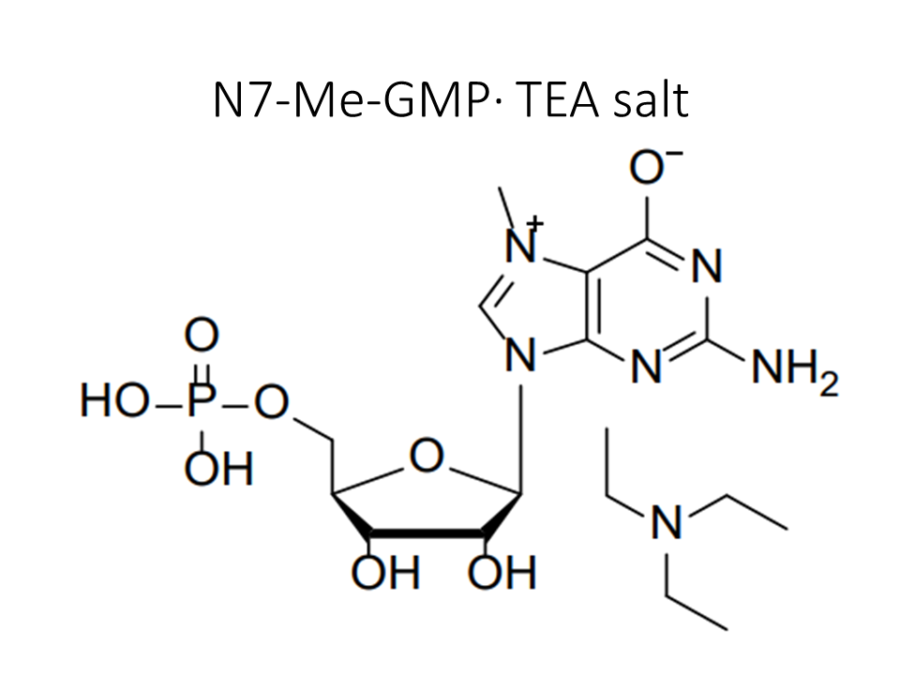 n7-me-gmp%c2%b7-tea-salt