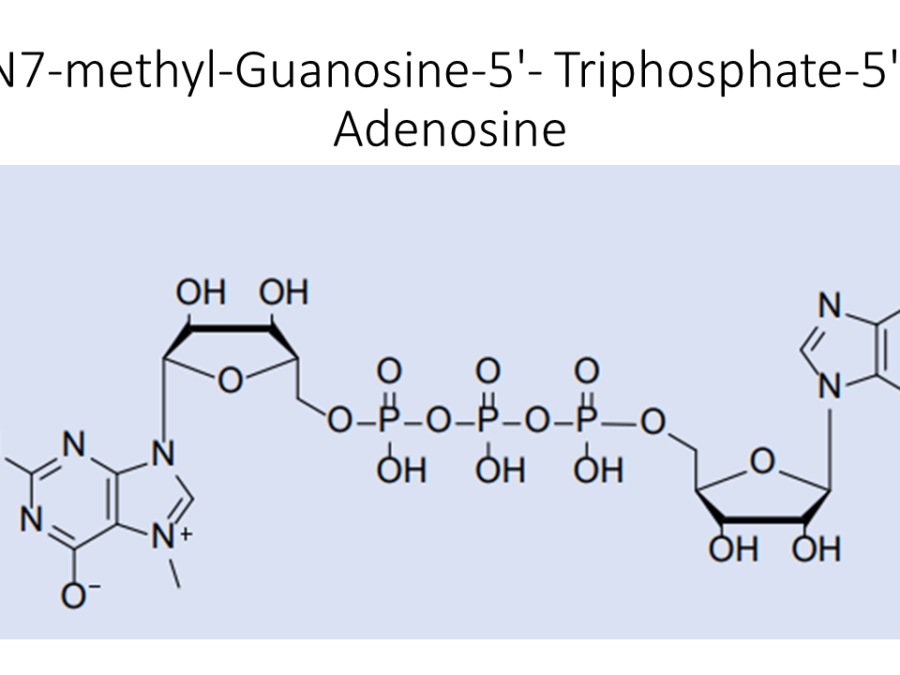n7-methyl-guanosine-5-triphosphate-5-adenosine