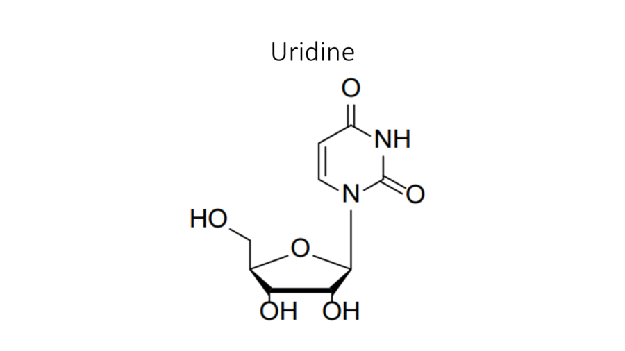 uridine