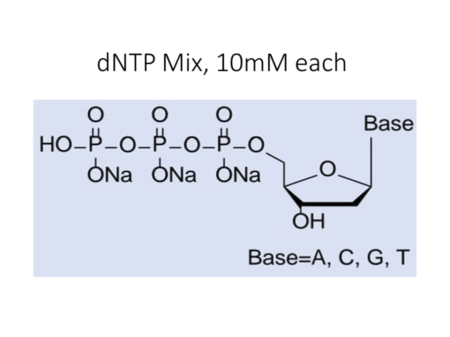 dntp-mix-10mm-each