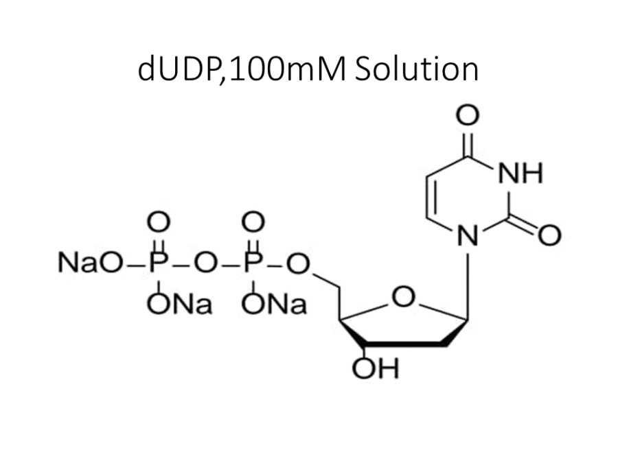 dudp100mm-solution