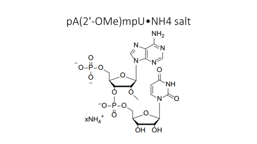 pa2-omempunh4-salt