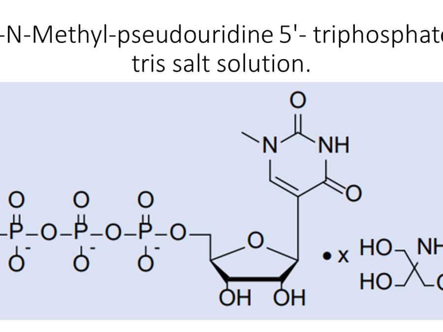 1-n-methyl-pseudouridine-5-triphosphate-tris-salt-solution