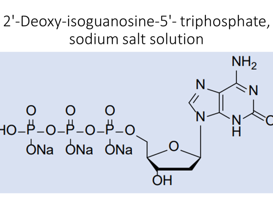 2-deoxy-isoguanosine-5-triphosphate-sodium-salt-solution