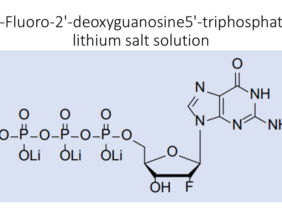 2-fluoro-2-deoxyguanosine5-triphosphate-lithium-salt-solution