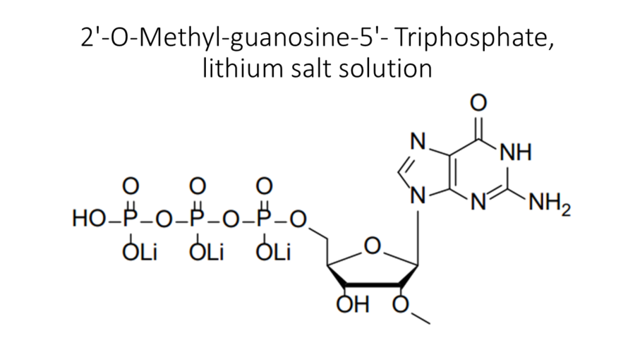 2-o-methyl-guanosine-5-triphosphate-lithium-salt-solution