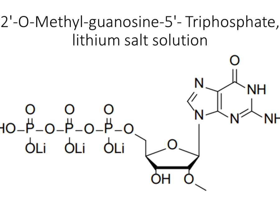 2-o-methyl-guanosine-5-triphosphate-lithium-salt-solution