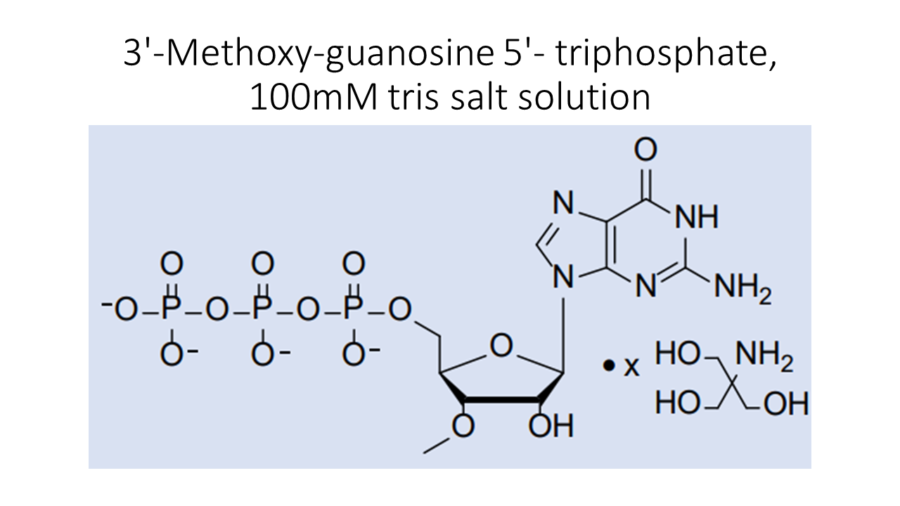 3-methoxy-guanosine-5-triphosphate-100mm-tris-salt-solution