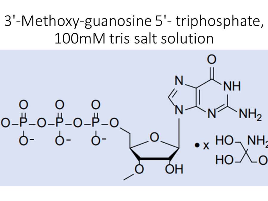 3-methoxy-guanosine-5-triphosphate-100mm-tris-salt-solution