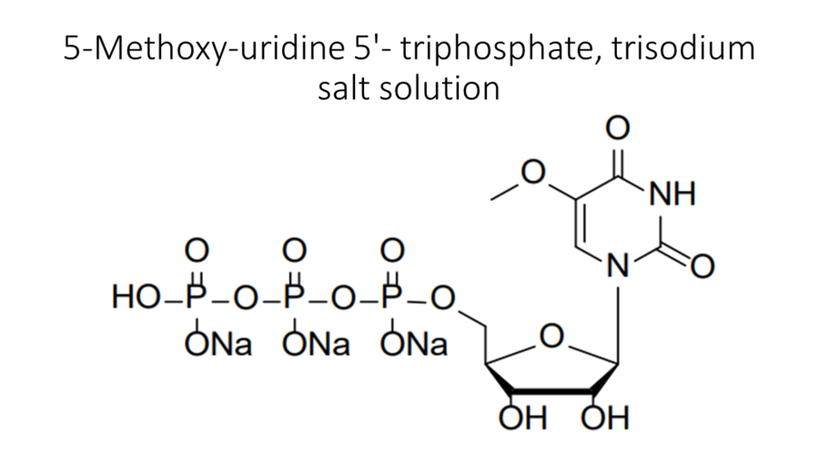 5-methoxy-uridine-5-triphosphate-trisodium-salt-solution