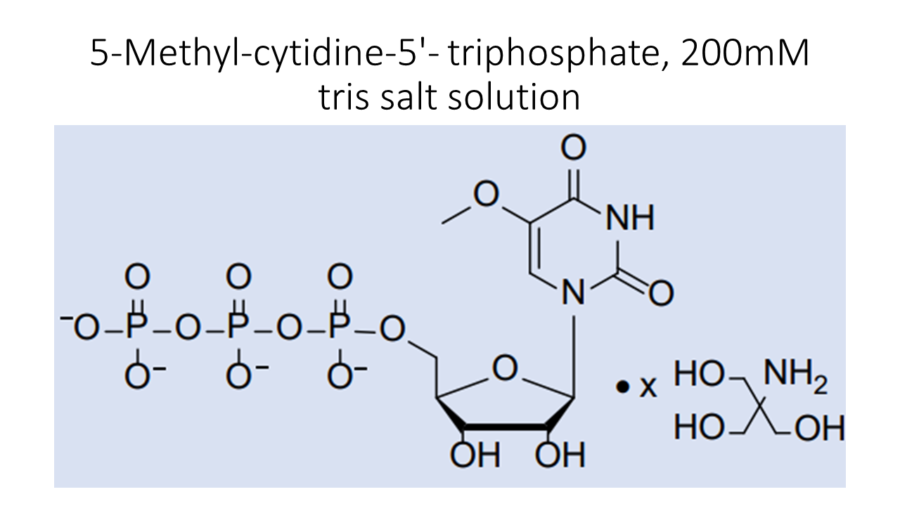 5-methyl-cytidine-5-triphosphate-200mm-tris-salt-solution