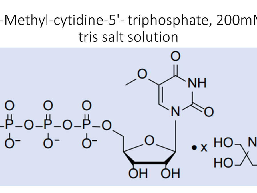 5-methyl-cytidine-5-triphosphate-200mm-tris-salt-solution