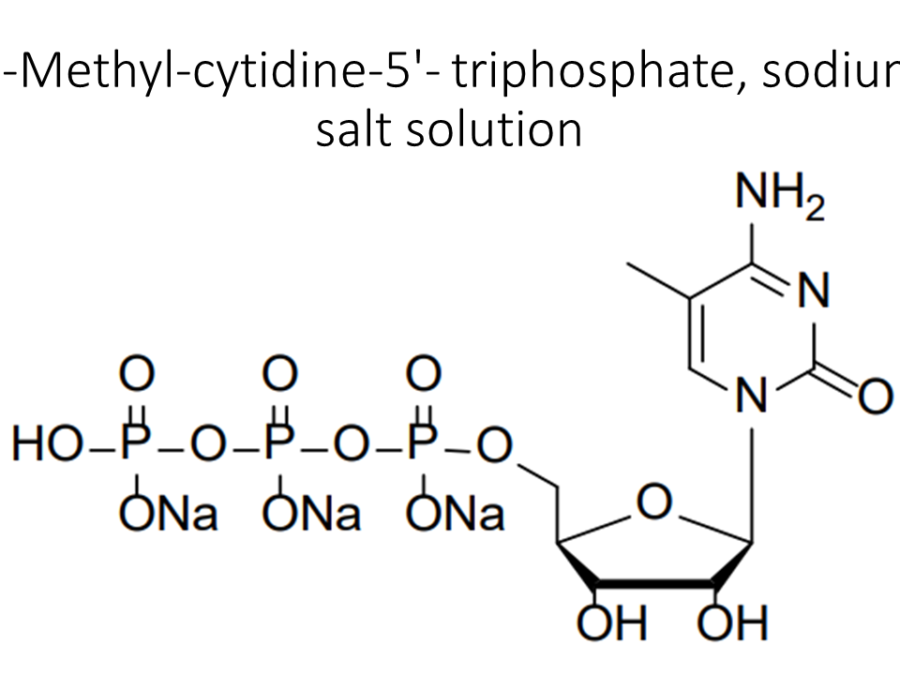 5-methyl-cytidine-5-triphosphate-sodium-salt-solution