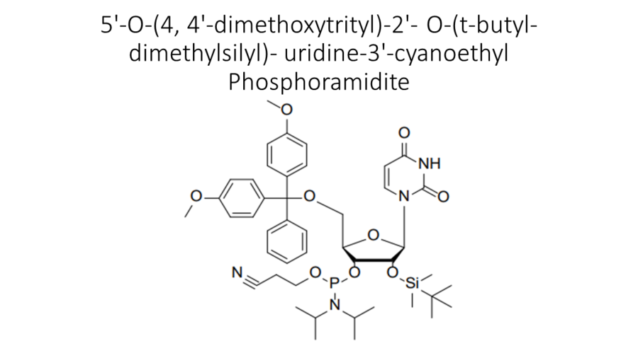5-o-4-4-dimethoxytrityl-2-o-t-butyl-dimethylsilyl-uridine-3-cyanoethyl-phosphoramidite