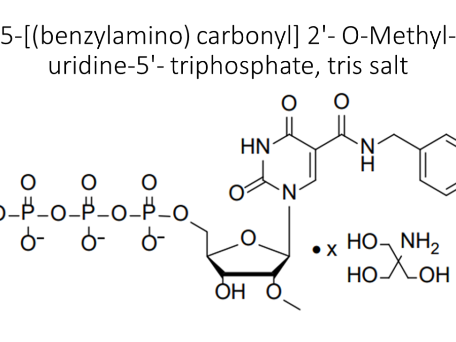 5-benzylamino-carbonyl-2-o-methyl-uridine-5-triphosphate-tris-salt