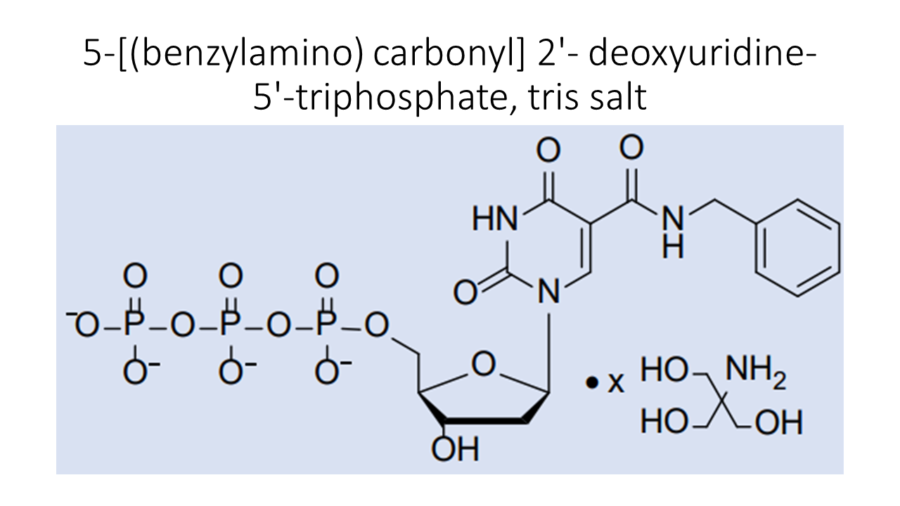 5-benzylamino-carbonyl-2-deoxyuridine-5-triphosphate-tris-salt