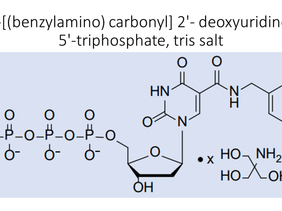 5-benzylamino-carbonyl-2-deoxyuridine-5-triphosphate-tris-salt