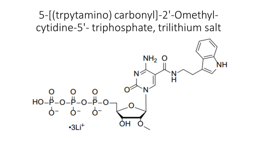 5-trpytamino-carbonyl-2-omethyl-cytidine-5-triphosphate-trilithium-salt