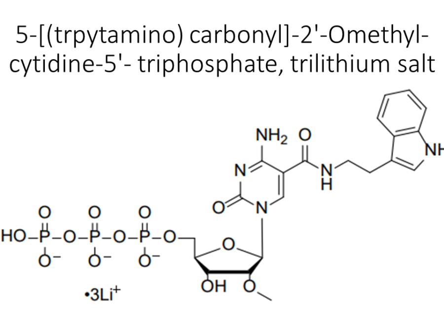 5-trpytamino-carbonyl-2-omethyl-cytidine-5-triphosphate-trilithium-salt