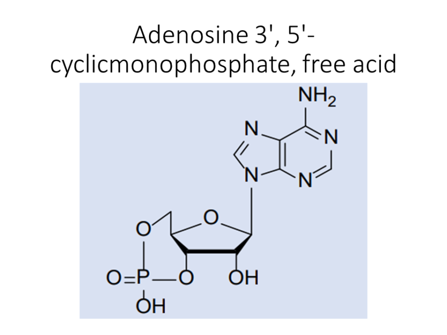 adenosine-3-5-cyclicmonophosphate-free-acid