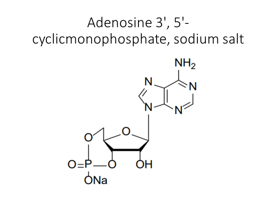 adenosine-3-5-cyclicmonophosphate-sodium-salt