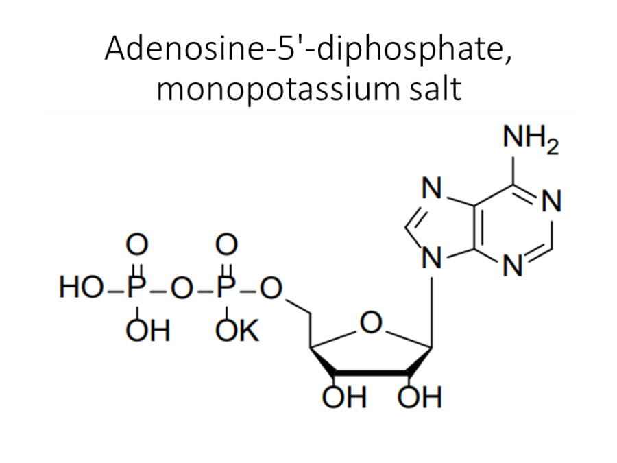 adenosine-5-diphosphate-monopotassium-salt