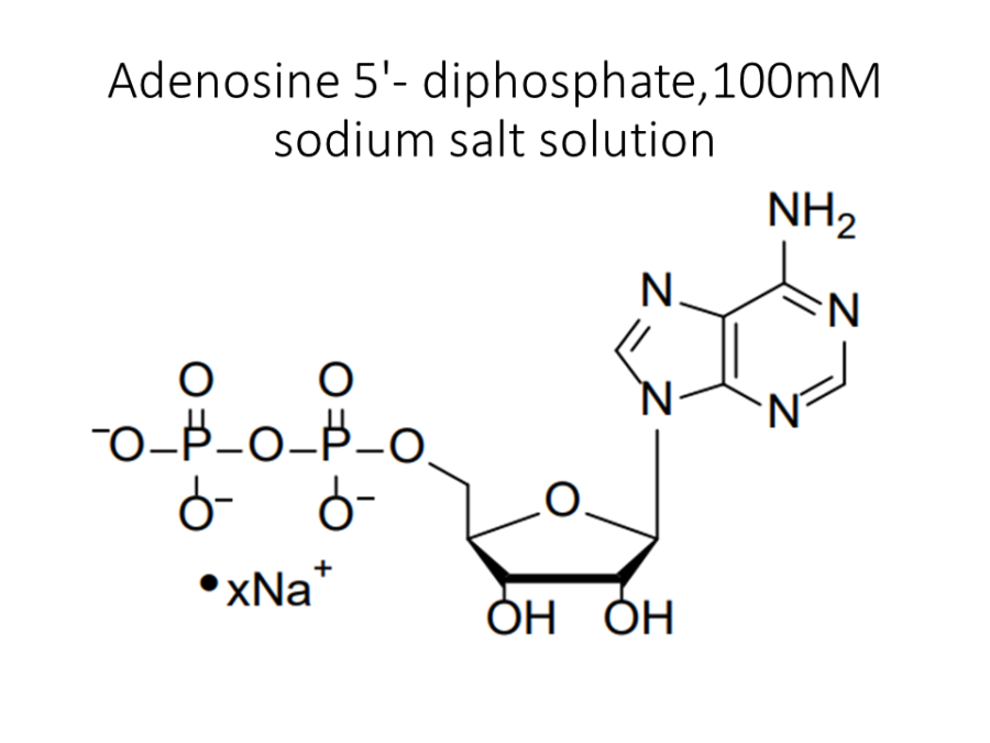 adenosine-5-diphosphate100mm-sodium-salt-solution