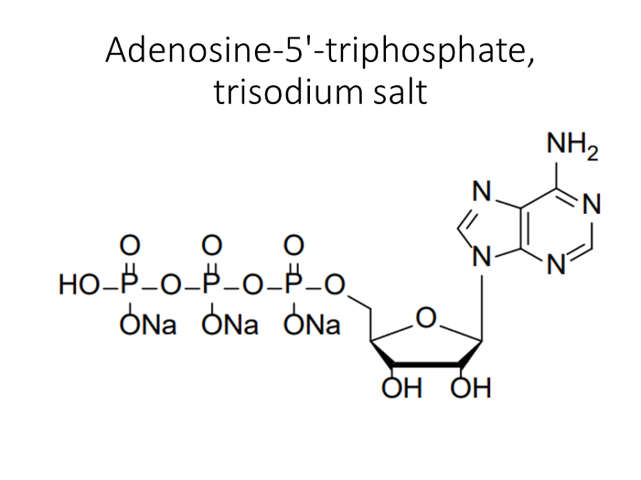 adenosine-5-triphosphate-trisodium-salt