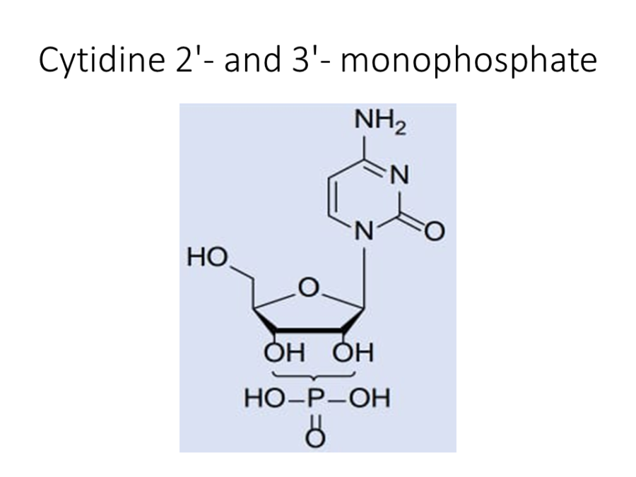 cytidine-2-and-3-monophosphate