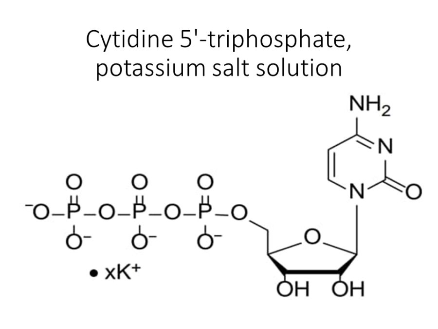 cytidine-5-triphosphate-potassium-salt-solution