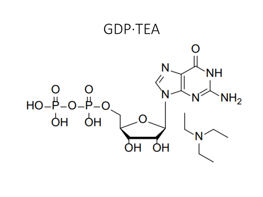 gdp%c2%b7tea