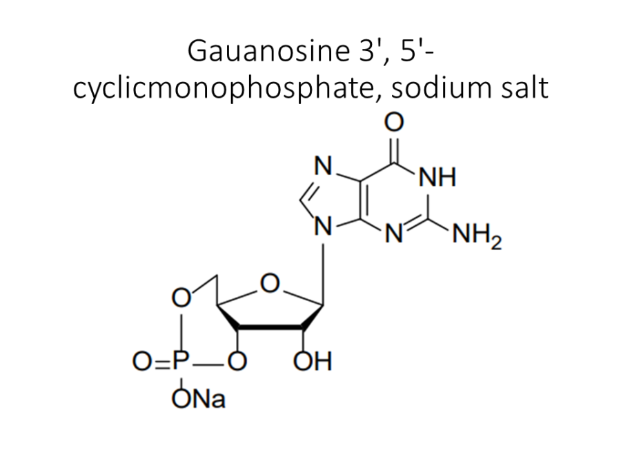 gauanosine-3-5-cyclicmonophosphate-sodium-salt