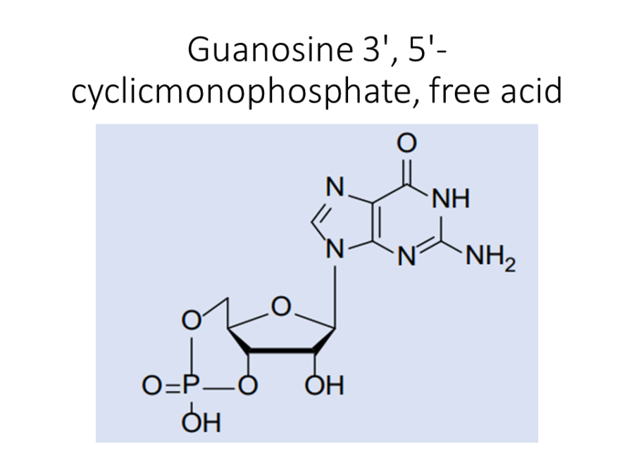guanosine-3-5-cyclicmonophosphate-free-acid