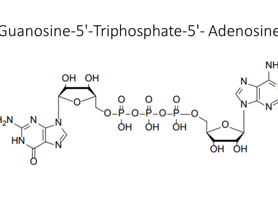 guanosine-5-triphosphate-5-adenosine
