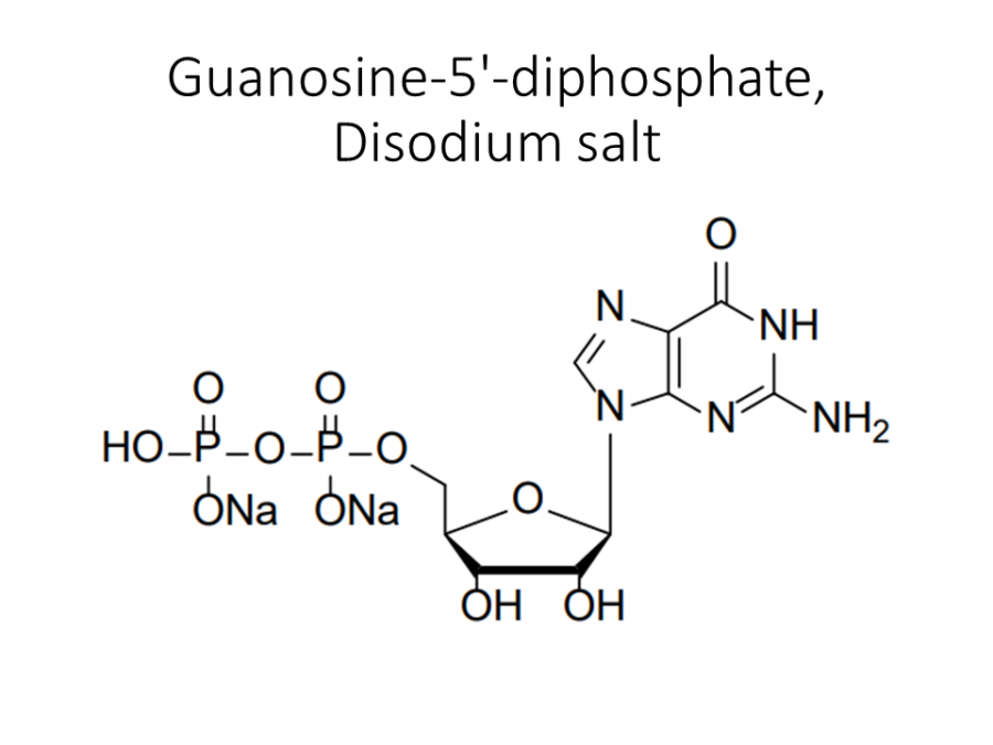 guanosine-5-diphosphate-disodium-salt