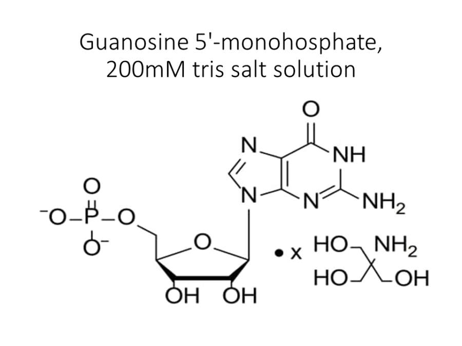 guanosine-5-monohosphate-200mm-tris-salt-solution
